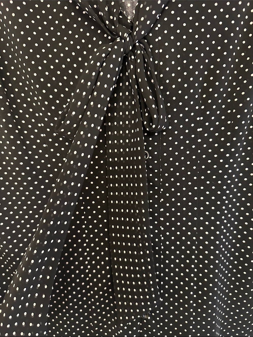 Tahari Black & White Polka Dot Tie-Front Blouse - Picture 3 of 5